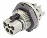 RST25i5 96.052.5054.3 вилка Wieland Electr