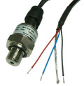 CMPT124B-234-4Bar-0.5-4.5V-G1/4-Packard
